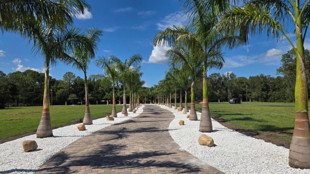 the-tree-planters-ocala-post-2