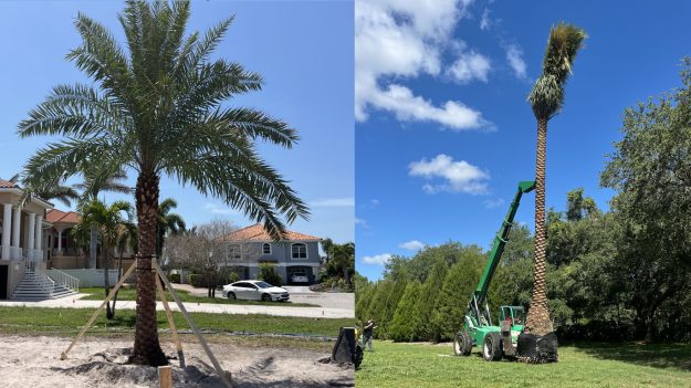 the-tree-planters-ocala-post-6786