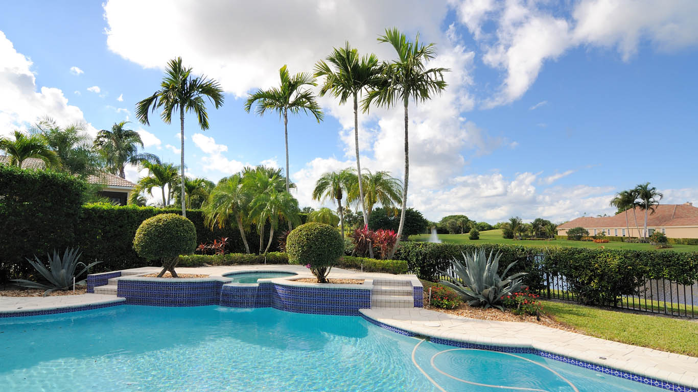 the-tree-planters-ocala-summer-trees